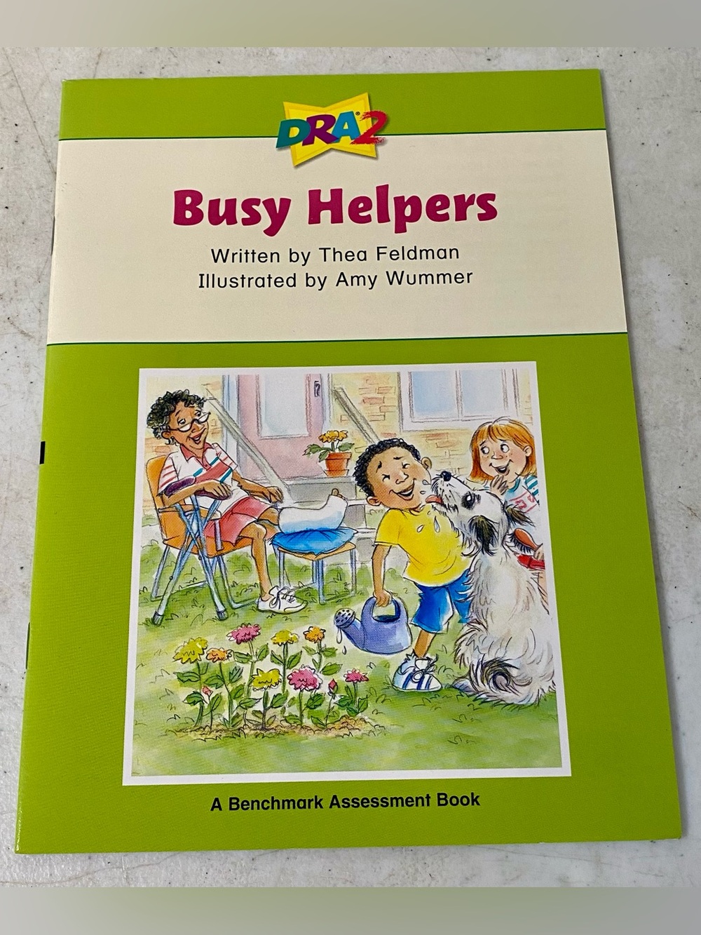 Busy Helpers (A Benchmark Assessment Book Level 30) - Paperback - VERY GOOD